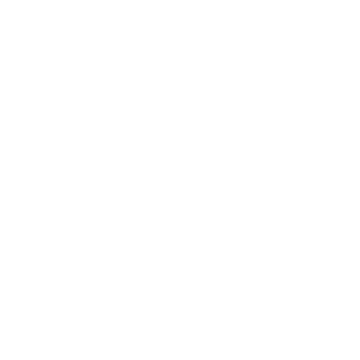 aaa-freight services llc